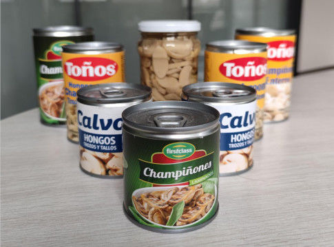 425g No Impurity Typical Taste Canned Sliced Mushrooms