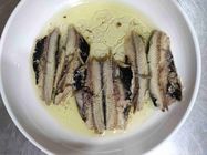 Non Perishable Canned Sardines In Oil Without Artificial Additives