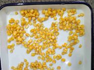 FDA GMO Cultivation 425g Canned Sweet Corn Kernels
