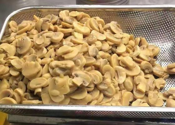 Canned Champignon Mushroom Slices