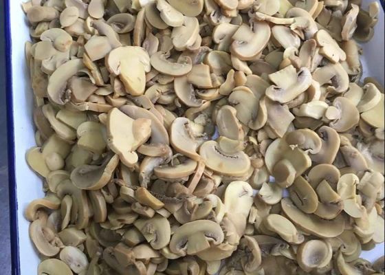 HALAL 2840g Typical Flavor Canned Champignon Mushroom PNS