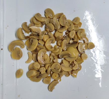 Contains Mushrooms Canned Champignon Mushroom Preserved Champignon Mushroom Ideal for Food Service Industry and Culinary