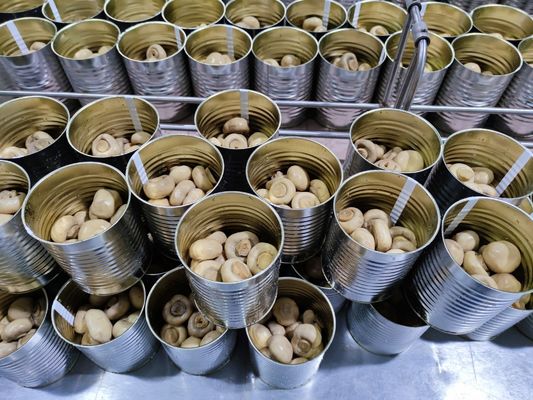 400g / 425g Canned Whole Mushroom Canned Chinese Mushrooms