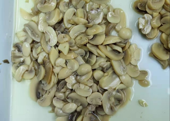 Various Specifications Canned Sliced Button Mushrooms
