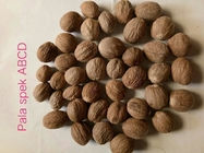Nutmeg Myristica Fragrans With Or Without Shell From Indonesia