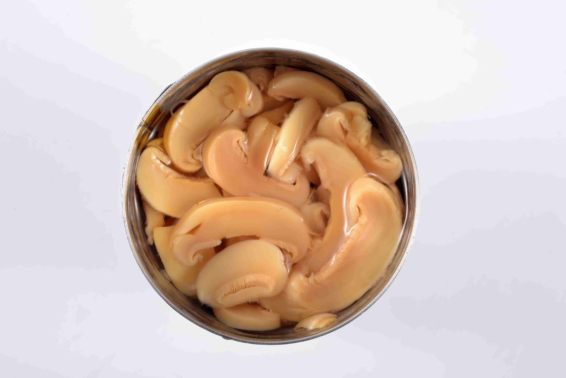 Delicious Canned Champignon Mushroom With Rich Nutrition Short Lead Time