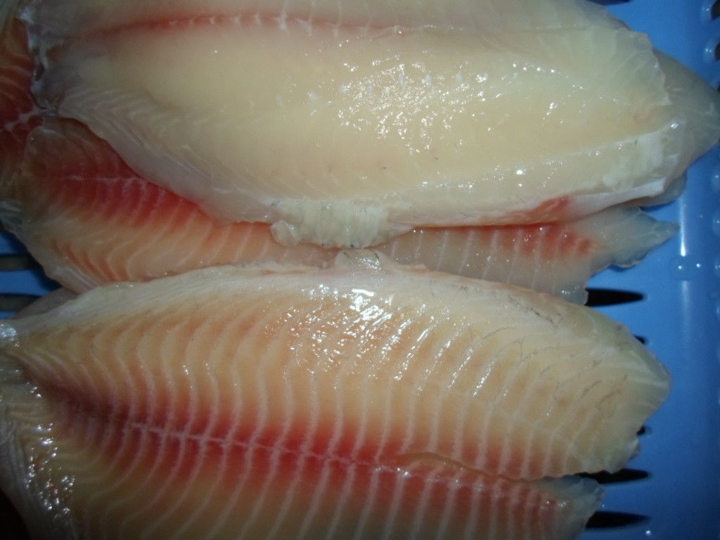 Healthy Pure Fresh Boneless Frozen Tilapia Fish , Frozen Tilapia Fillets