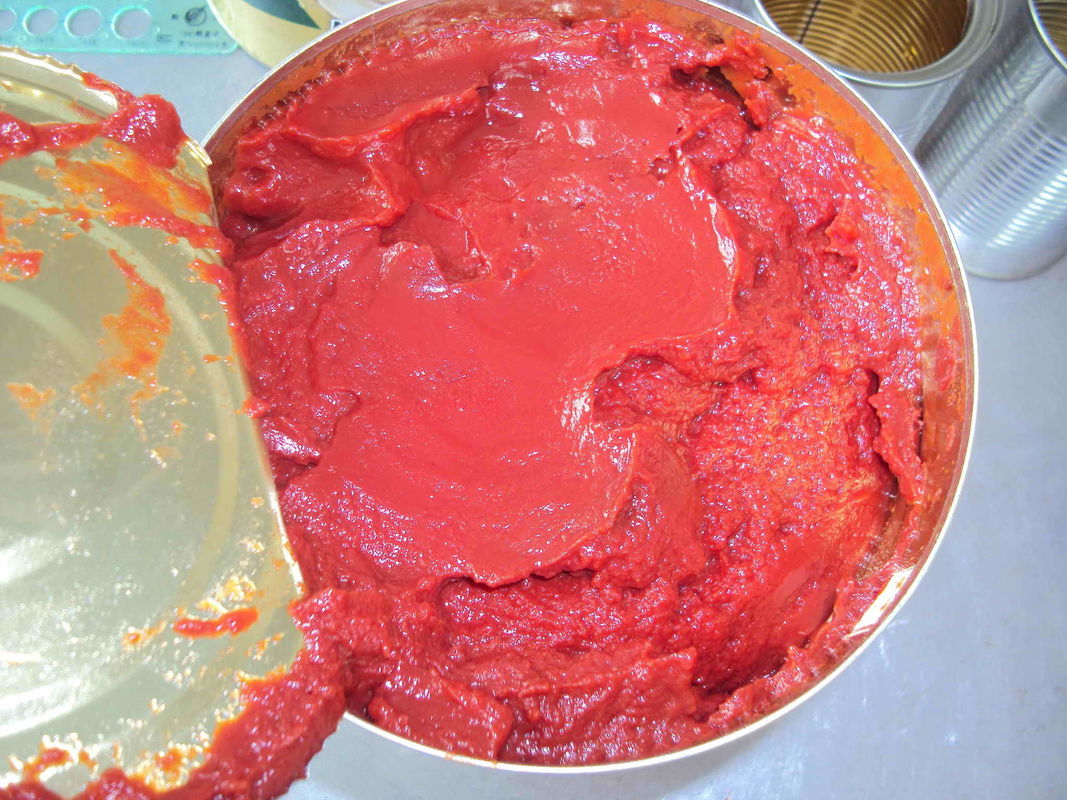 Canning Fresh Tomato Sauce , Tomato Paste Can Commercial Sterilization