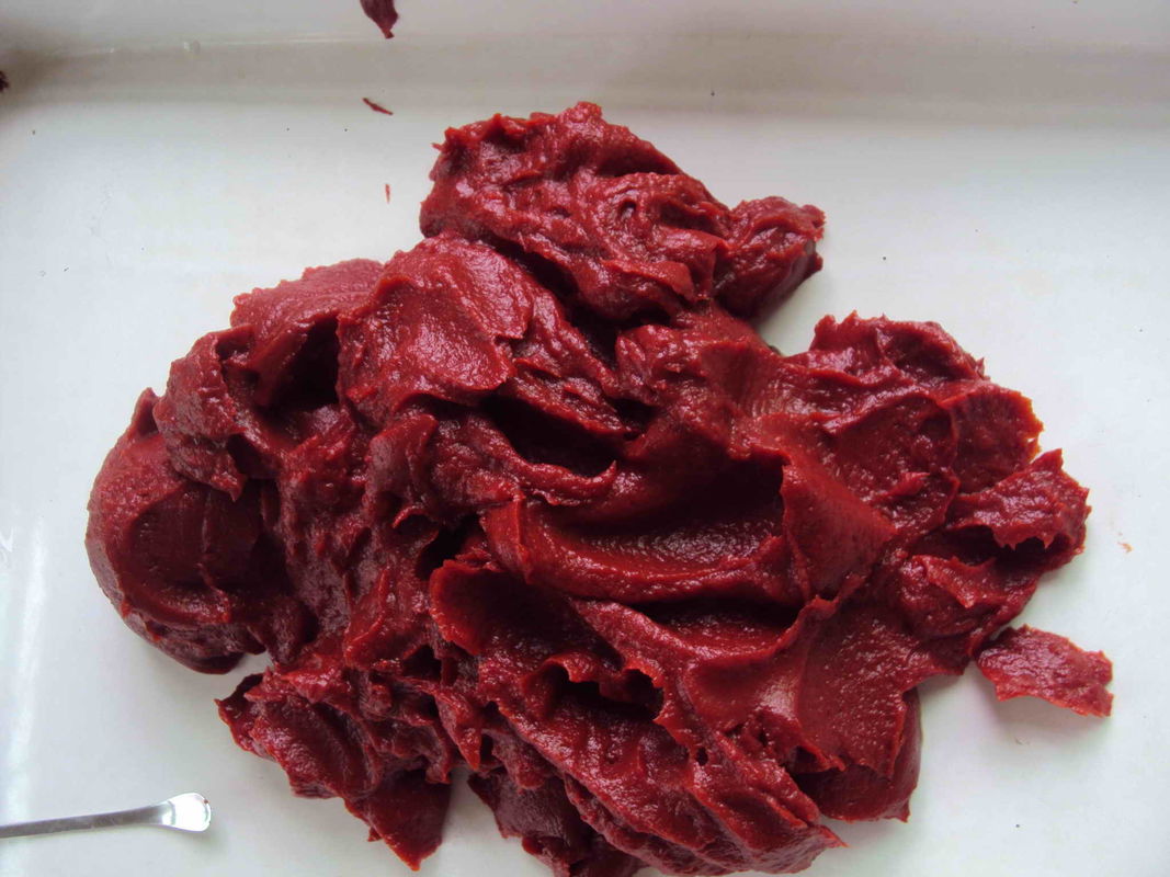 Triple Concentration Canned Tomato Concentrate The Ultimate Choice for Your Production Needs