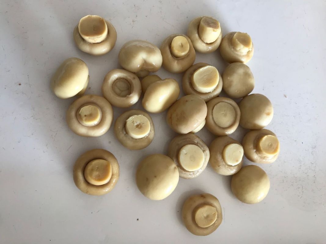 Champignon Mushroom Style Canned Vegetables Containing Pure Natural Flavour Canned Champignon Mushroom for Food Industry