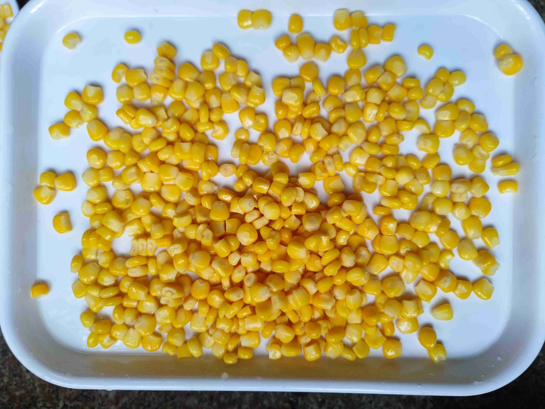 Add a Burst of Flavor and Nutrition with Canned Sweet Corn Perfect for Tacos and Casseroles