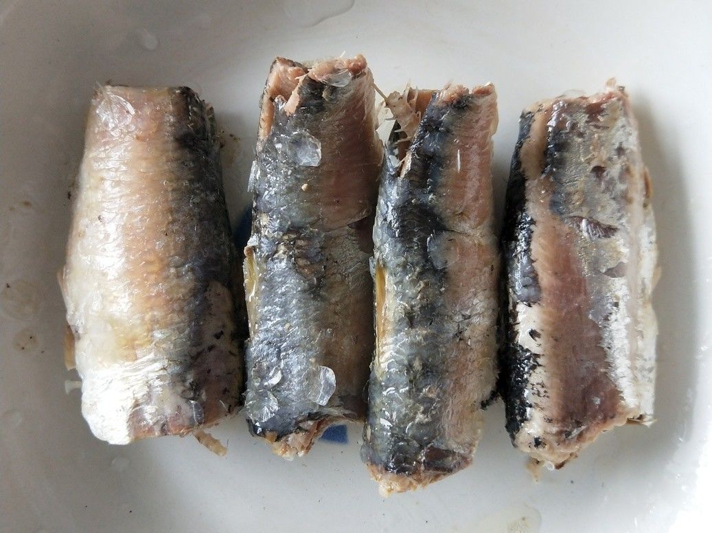 425g Canned Sardine Fishes With Scale in Vegetable Oil
