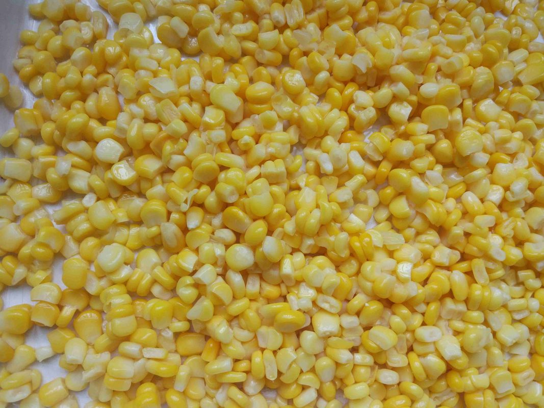 Wholesale Chinese Cheap Canned Sweet Corn 3kg In Water