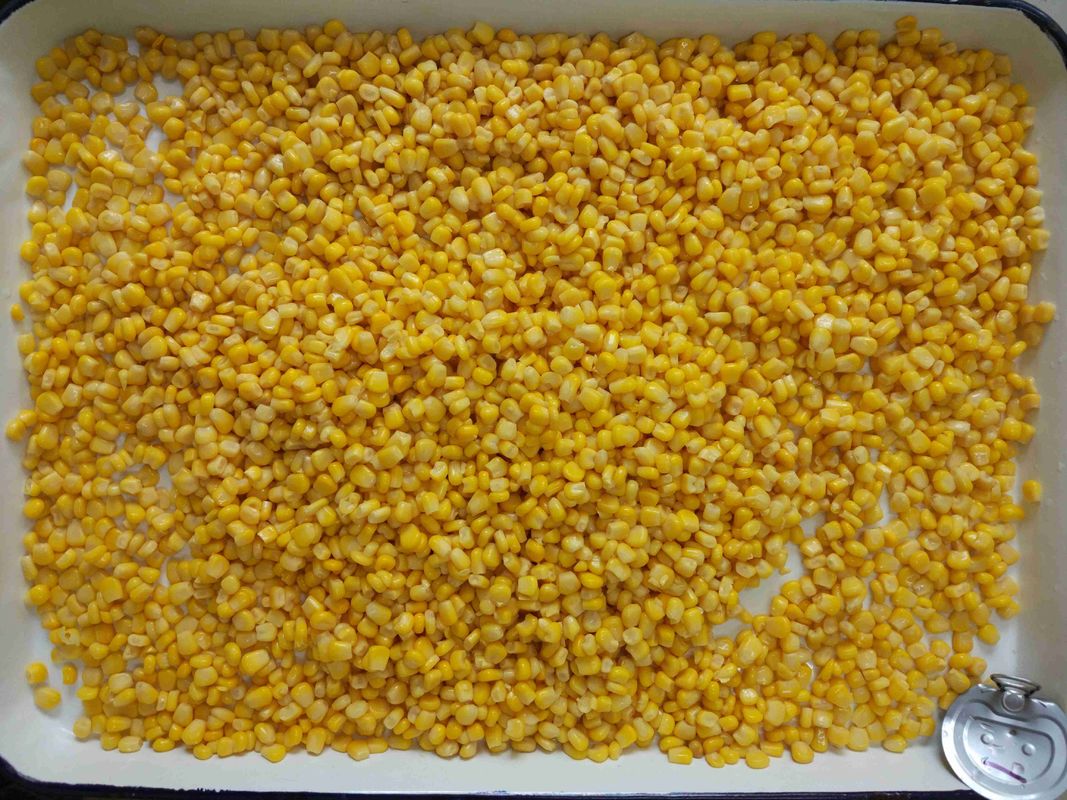 A9 Tin Vacuum Pack Net 2125g Whole Sweet Corn Kernel From China