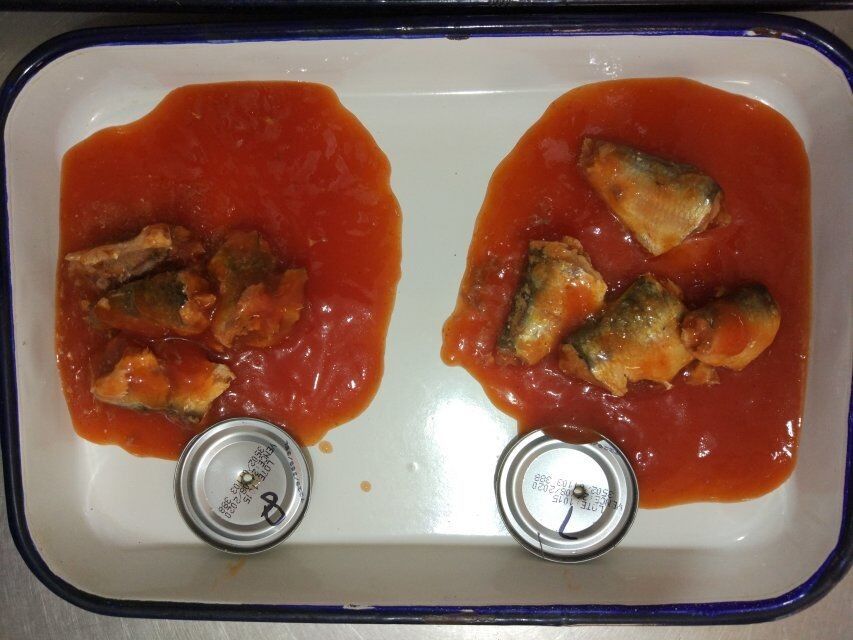 50 X 155g Canned Sardines Fish In Tomato Sauce With Hot Chili