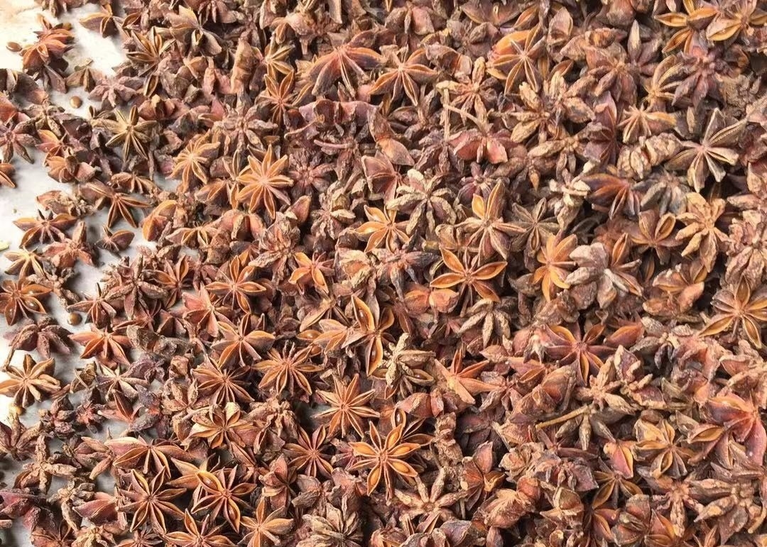 New Crop Autumn Star Anise Seeds Natural