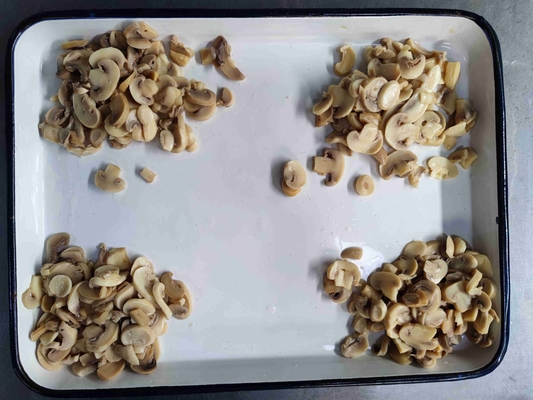 24 Months Shelf Life Water Canned Champignon Product
