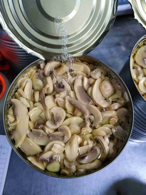 Original Flavor Canned Champignon Mushroom Cool & Dry Storage PH 4.5-6.5