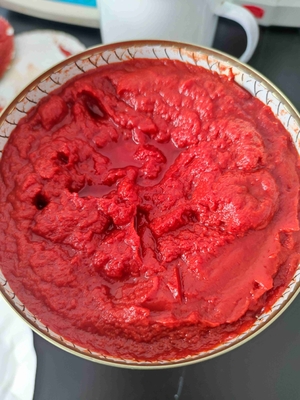 Bostwick 5.0-9.0cm/30sec Canned Tomato Sauce with Fruit Addtives