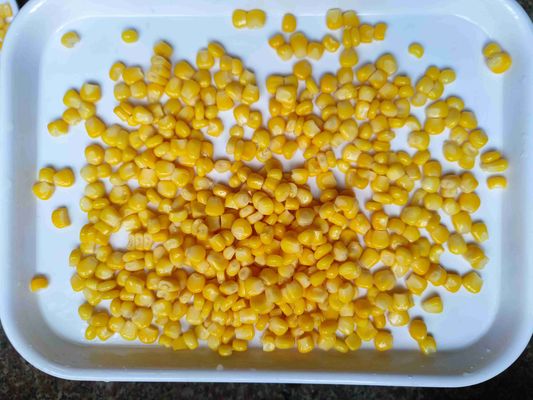 425g Net Weight Canned Sweet Corn - Top Quality Ready-to-Use Sweet Corn in Can for Food Industry