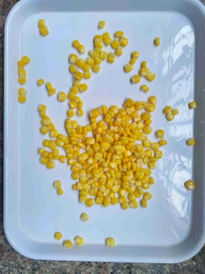 Natural Color Sweet Corn in Can with Easy Open Lid