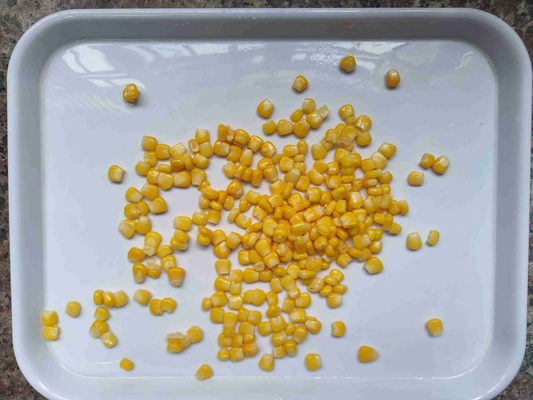 Enjoy the Convenience of Canned Sweet Corn Ready To Eat Yes Perfect for Dry Place Storage No Added Preservatives