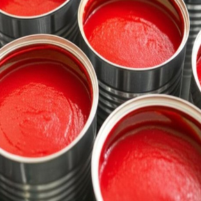 Convenient Canned Tomato Sauce Store In A Cool for Busy and Health-Conscious Cooks