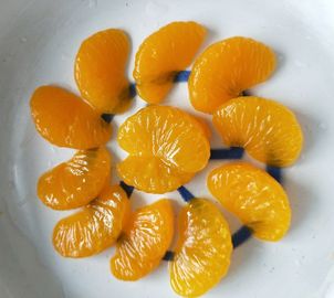 FDA ISO HACCP Certified Canned Mandarin Orange Segments Ready To Eat In Natural Juice